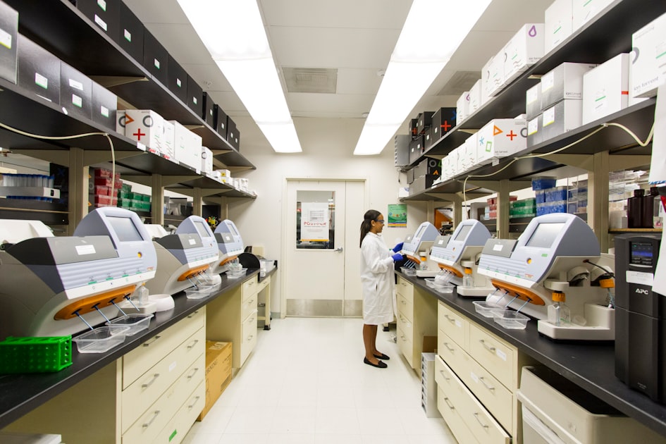 Understanding Research Peptides