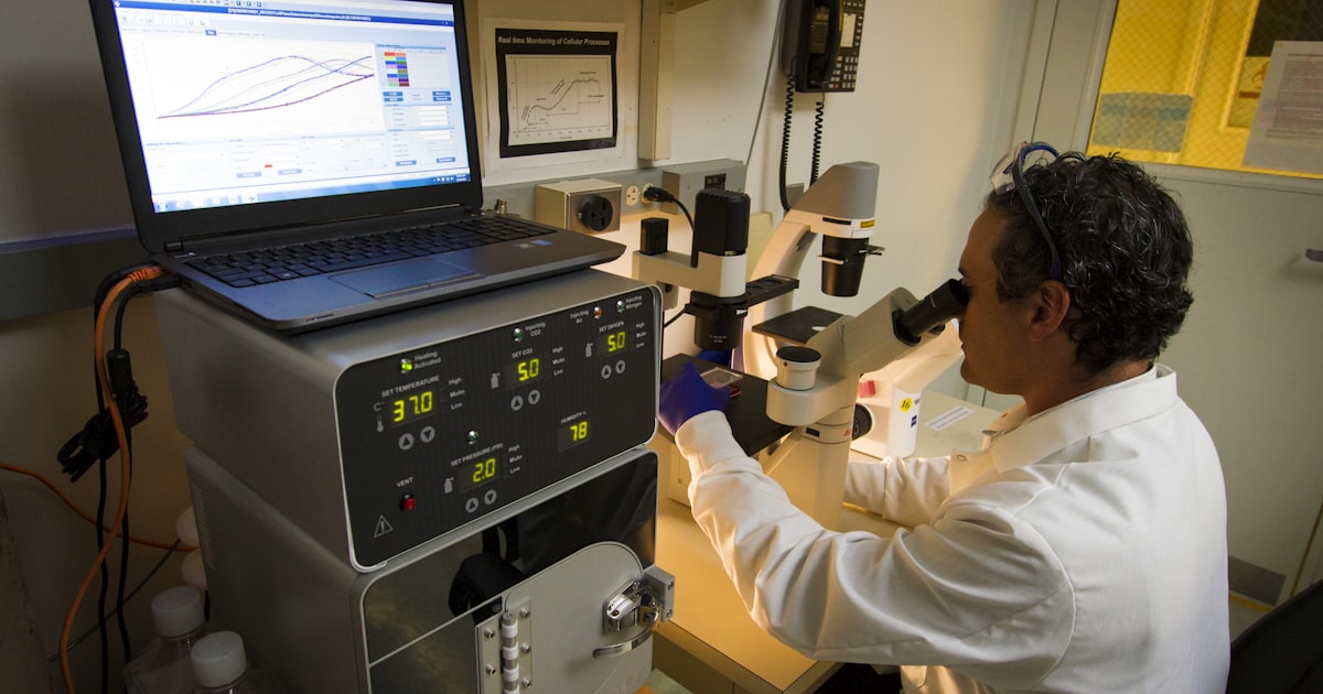 Choosing the Right Laboratory Compounds