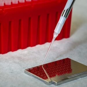 Peptide Synthesis Kit D